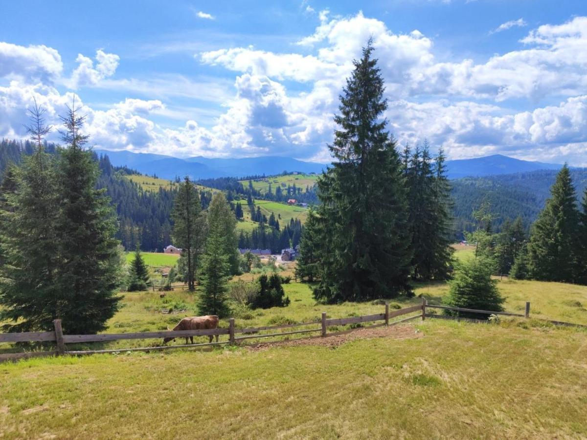 Lidia Chalets Polyanitsa Popovichevskaya Ngoại thất bức ảnh